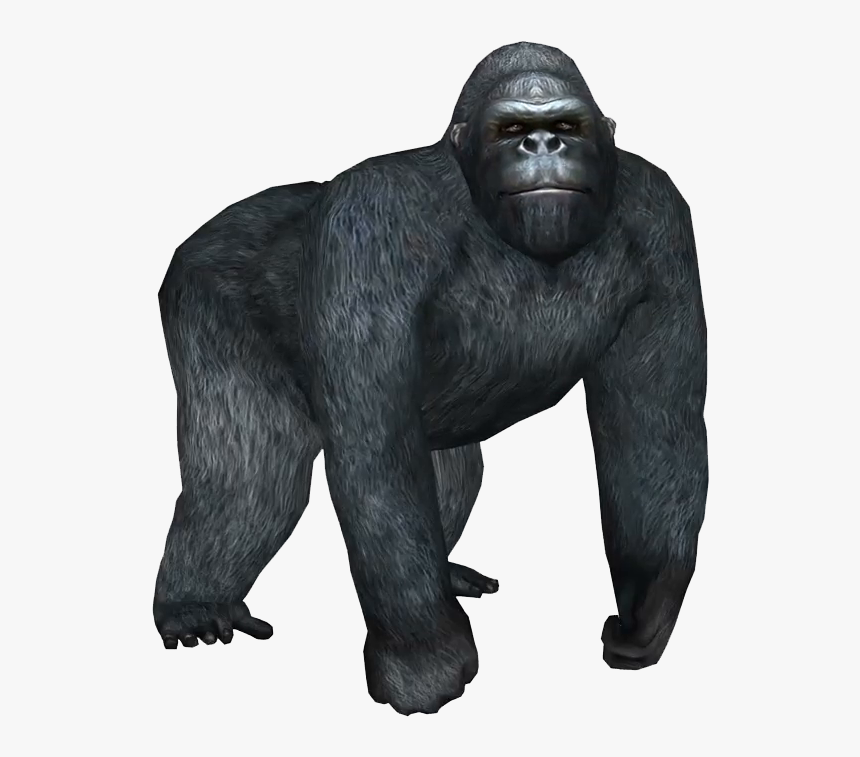 Gorilla Png Hd Background - Gorilla Pictures White Background, Transparent Png, Free Download