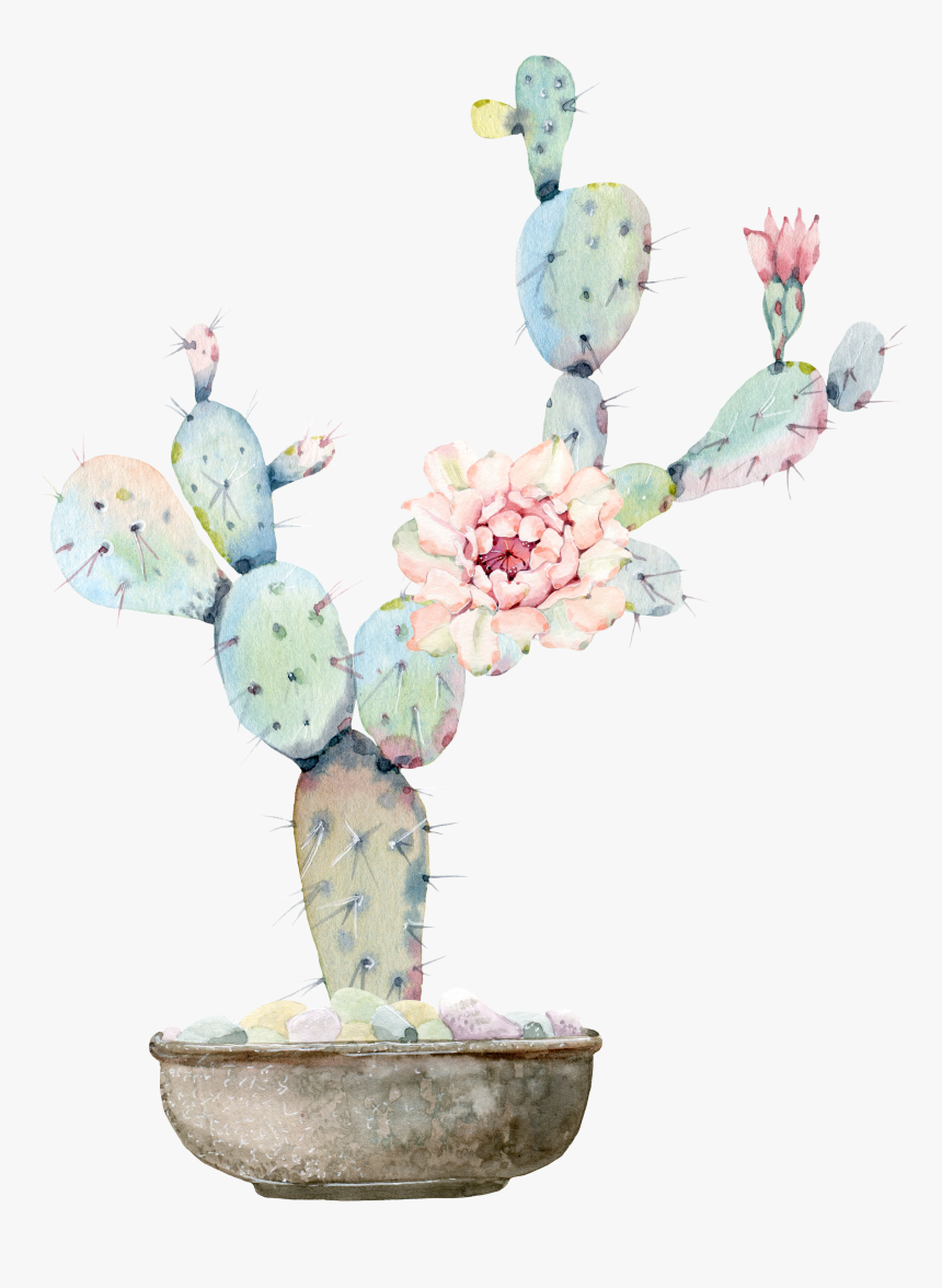 Watercolour Flowers Watercolor Painting Cactaceae Drawing, HD Png Download, Free Download