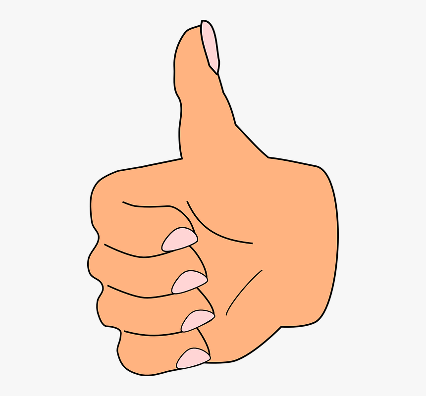 Thumb Up, Thumb, Like, Correct, Hand, Fingers, Positive - Thumb Clipart, HD Png Download, Free Download