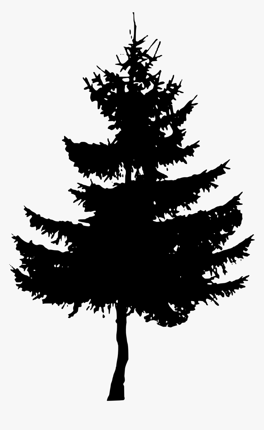 Pine Tree Silhouette Transparent Background, HD Png Download, Free Download