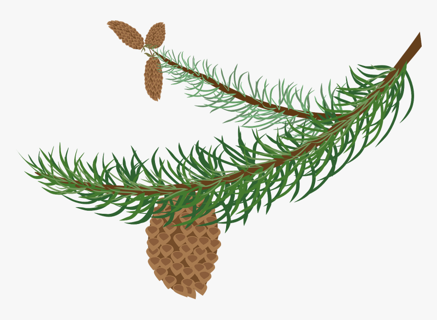 Clipart Winter Tree Branch, HD Png Download, Free Download