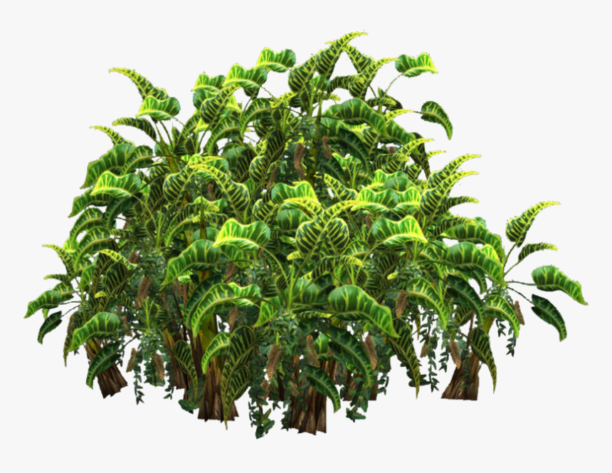 Jungle Plant Png - Palm Tree Shrub Png, Transparent Png, Free Download