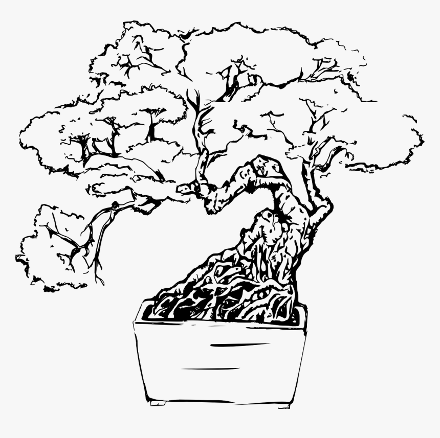 Bonsai Tree Black And White, HD Png Download, Free Download