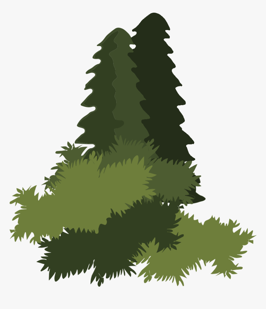 Bosque Png, Transparent Png, Free Download