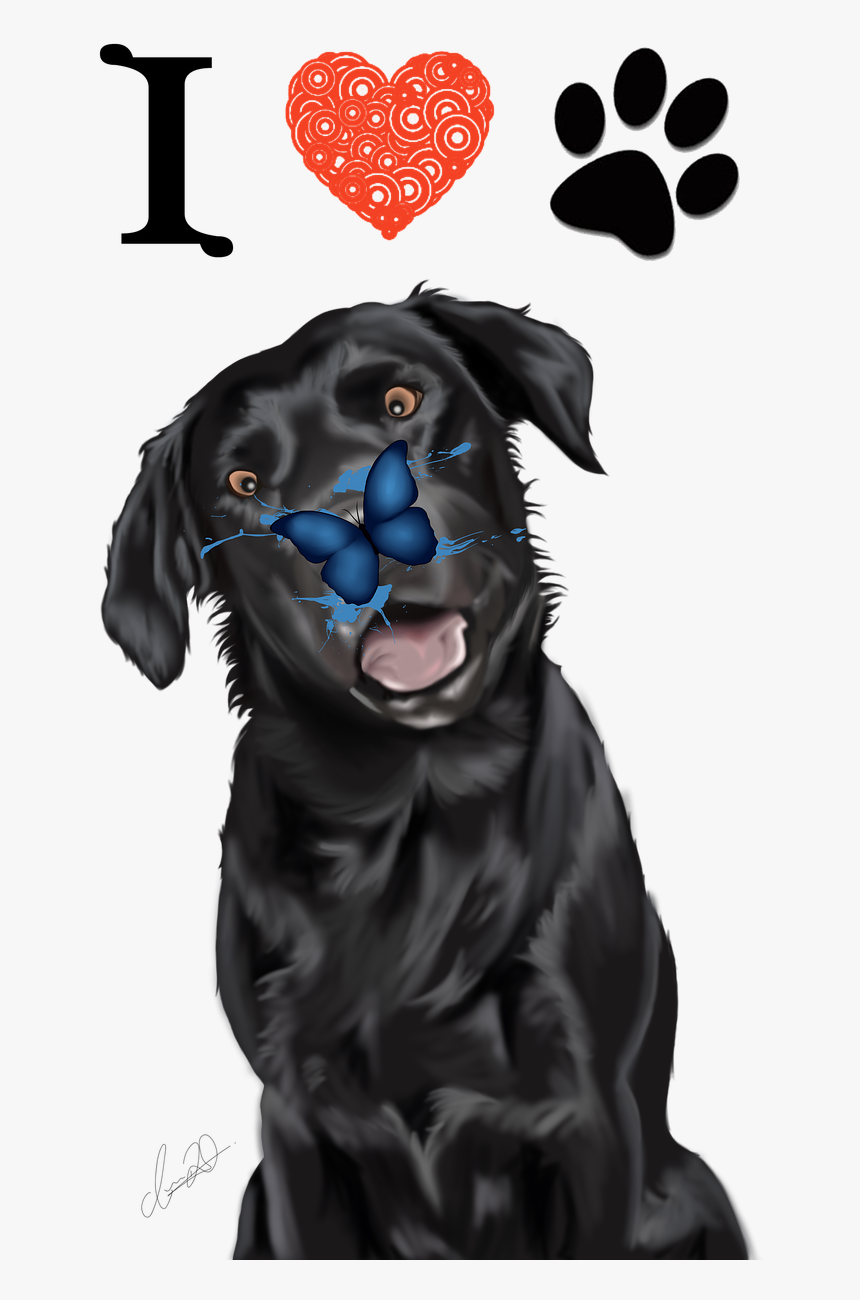 Labrador Dog Love Free Picture - Labrador Retriever, HD Png Download, Free Download