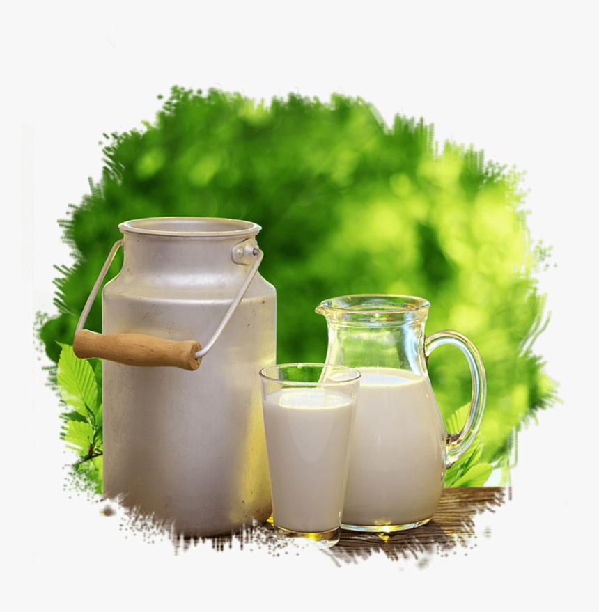 Goamrut - A2 Milk Poster, HD Png Download, Free Download