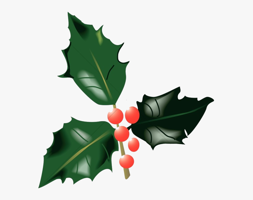 Holly Leaf Leaves And Berries Traditional Christmas - Holly Leaves And Berries, HD Png Download, Free Download