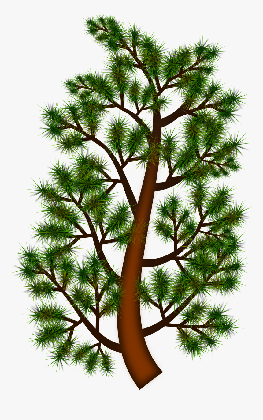 Pine Tree Branch Clip Arts - Clip Art, HD Png Download, Free Download