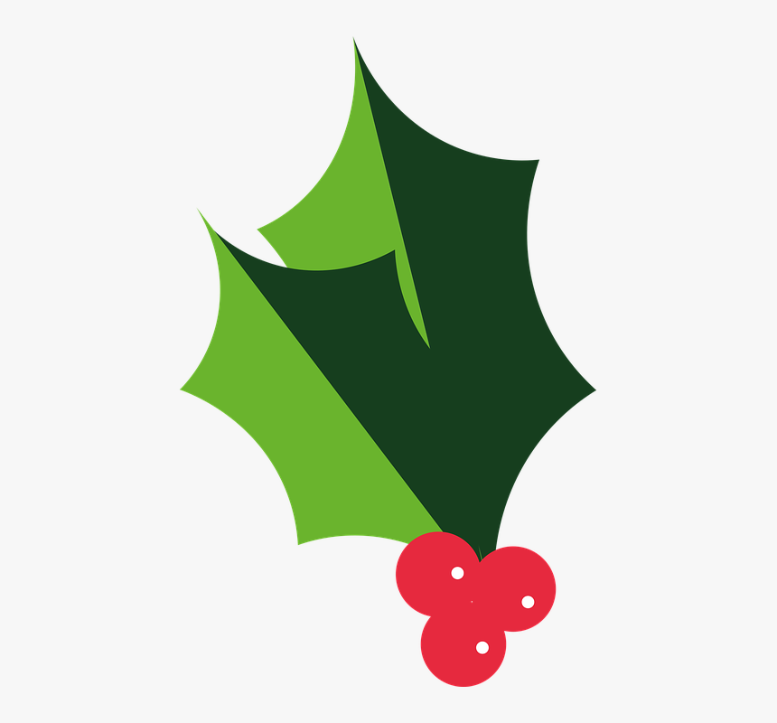 Holly, Christmas, Berries, Xmas, Foliage, Red, HD Png Download, Free Download