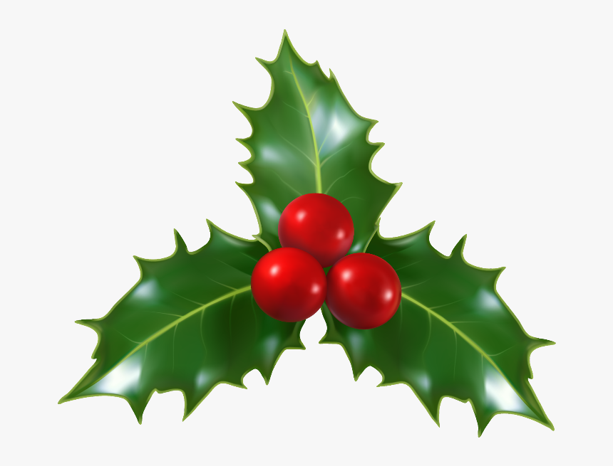 #holly #decoration #christmas #leaves #trio #berries - Transparent Background Holly Png, Png Download, Free Download