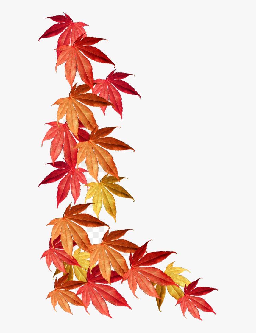 Fall Border Autumn Leaves Clipart Transparent Png - Fall Leaves Clipart Border, Png Download, Free Download