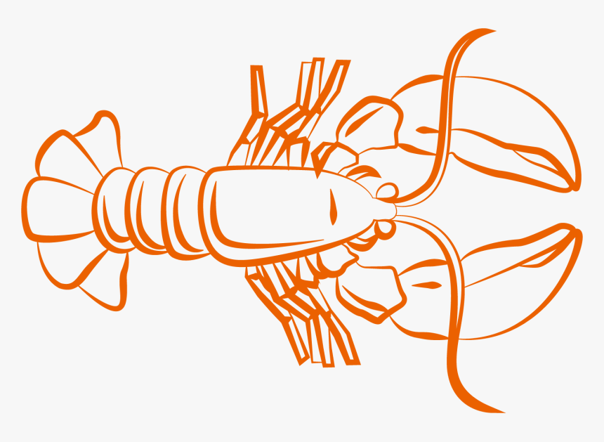 Caridea Shrimp Clip Art - Lobster, HD Png Download, Free Download