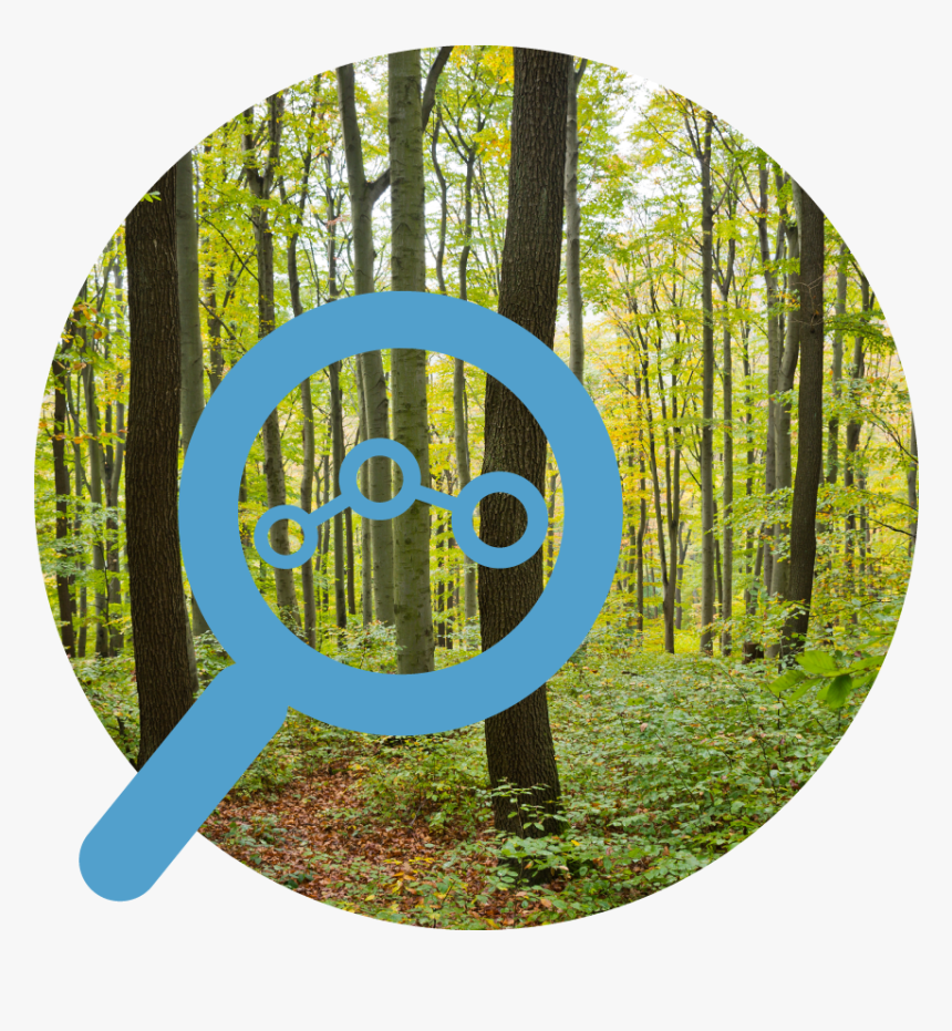 Circle, HD Png Download, Free Download