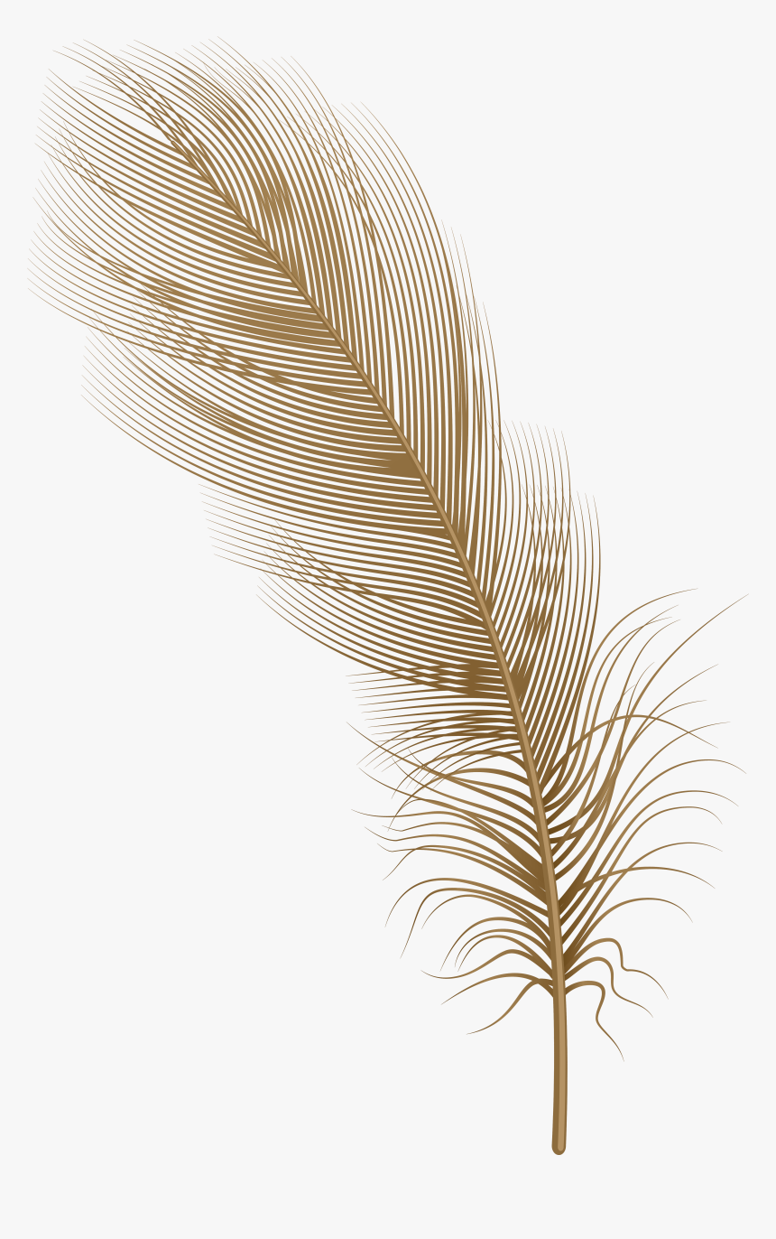 Feather Png Clip Art - Brown Feather Clipart, Transparent Png, Free Download