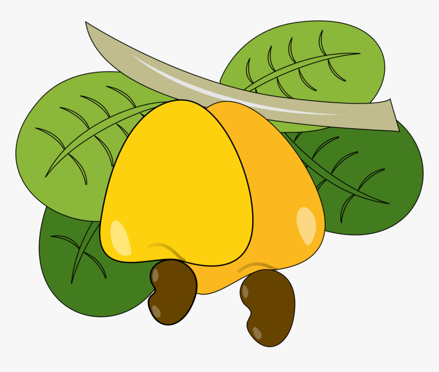 Cashew Yellow Nut Free Pnglogocoloring Pages, Transparent Png, Free Download