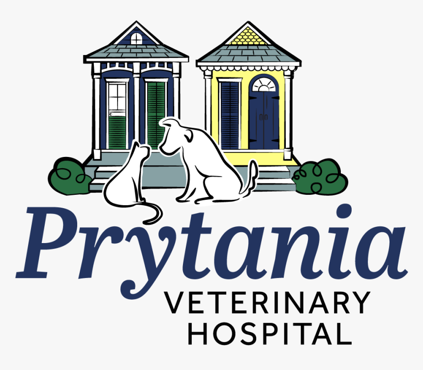 Prytania Veterinary Hospital - Cartoon, HD Png Download, Free Download