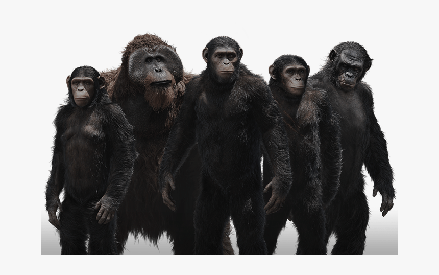 Thumb Image - Planet Of The Apes Png, Transparent Png, Free Download