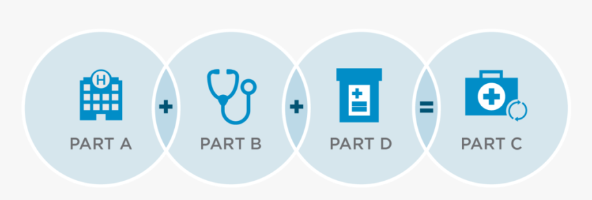 Medicare Graphics-02 - Circle, HD Png Download, Free Download