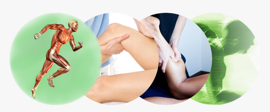 Sports Massage Png - Sport Massage, Transparent Png, Free Download