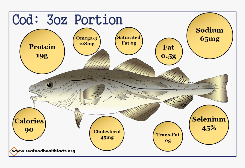 Fish Nutrition Pdf, HD Png Download, Free Download