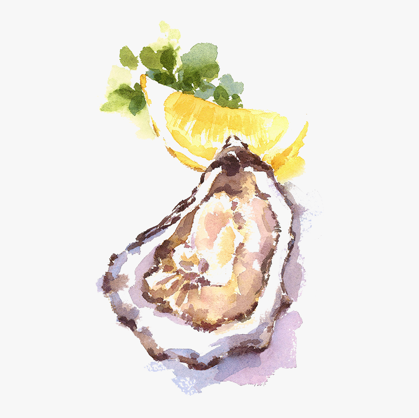 Oysters Watercolor, HD Png Download, Free Download