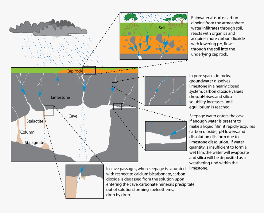 Limestone Cave Formation Diagram, HD Png Download, Free Download