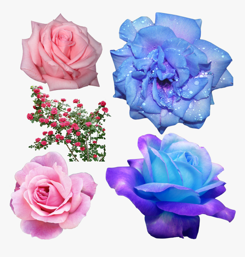 Aesthetic Blue Flower Transparent, HD Png Download, Free Download