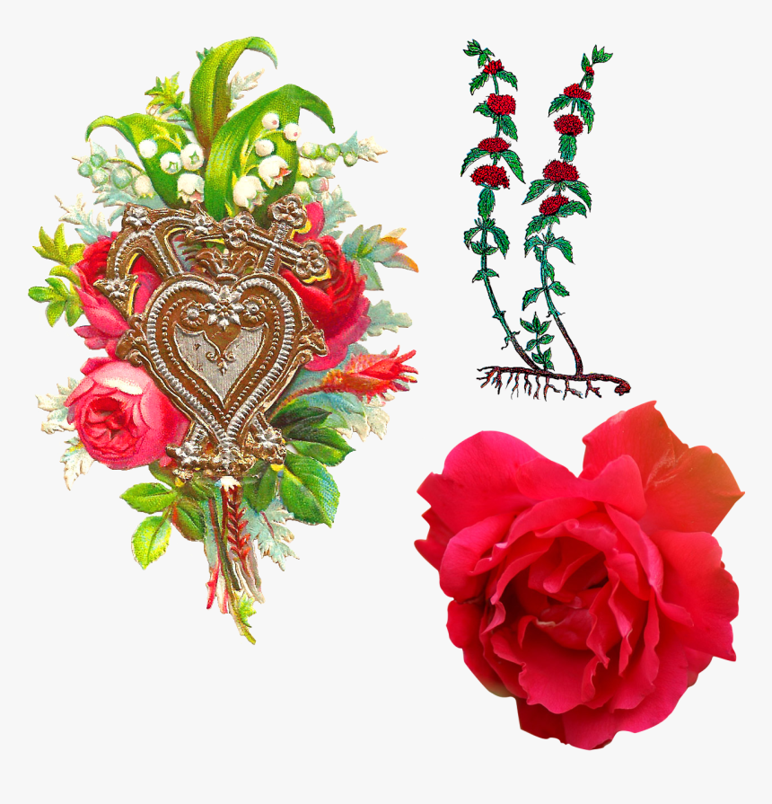 Love Images Hd For Flowers, HD Png Download, Free Download