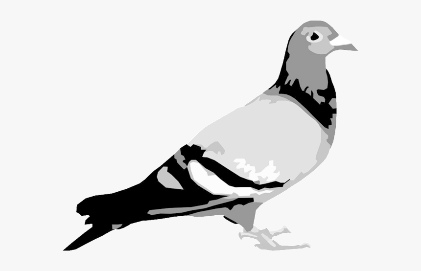 Staple Pigeon Bw - Jeff Staple Pigeon Logo, HD Png Download, Free Download