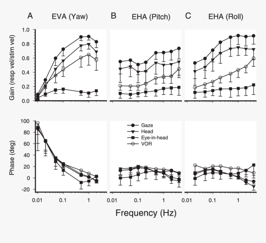 Mean Frequency Response Functions For All Pigeons During - Illustration, HD Png Download, Free Download