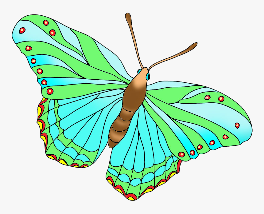 Beautiful Butterfly Green - Colorful And Beautiful Butterfly Drawing, HD Png Download, Free Download