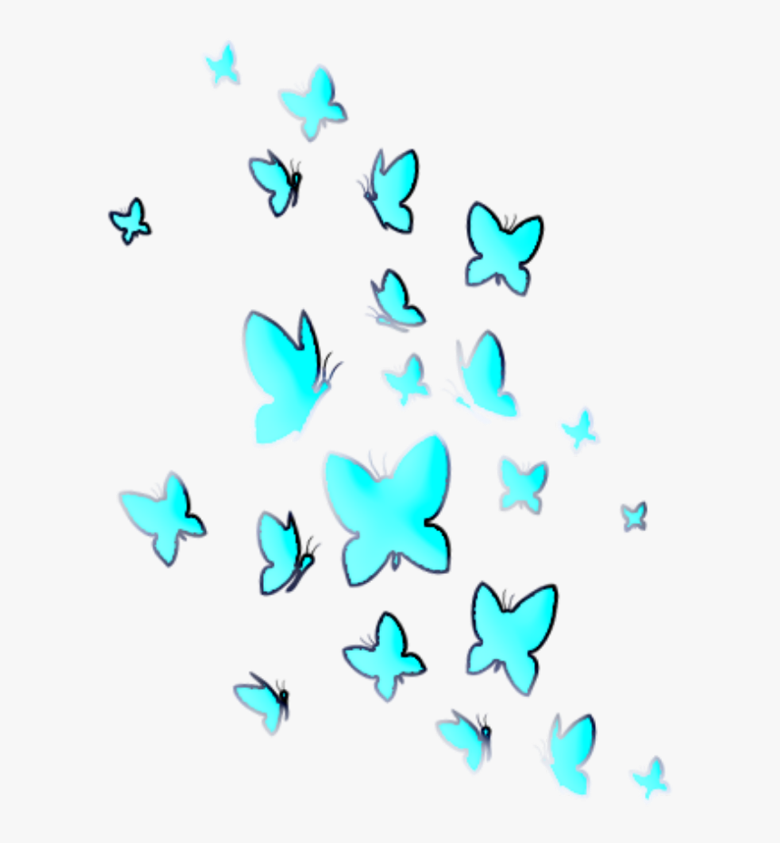 Butterfly, HD Png Download, Free Download