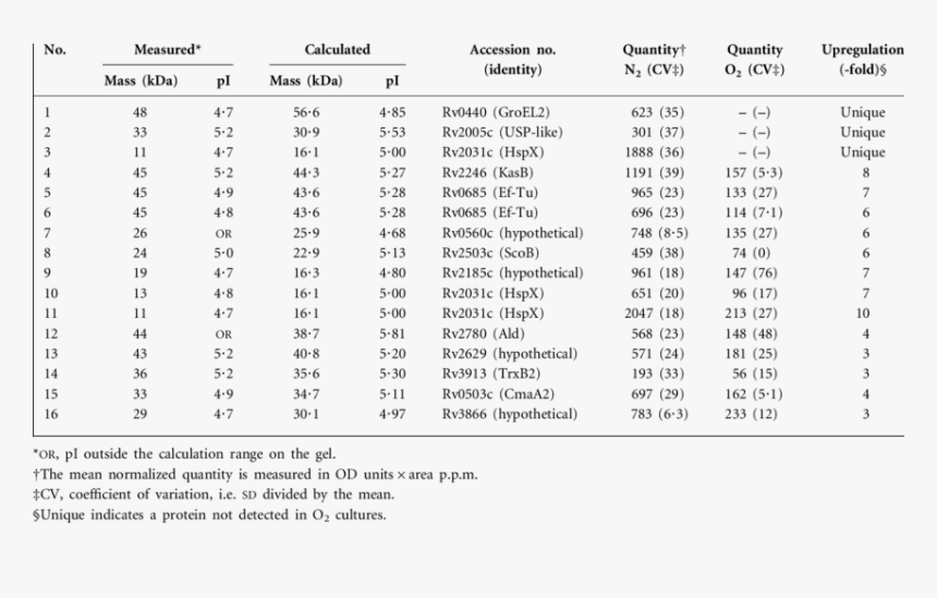 Identified Proteins More Abundant Under Anaerobic Conditions  - Height 18 Years Old, HD Png Download, Free Download