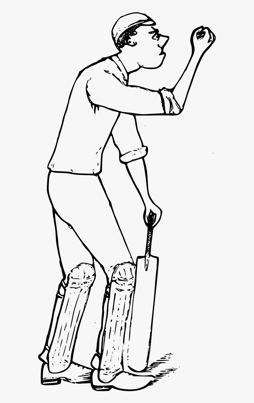 Cricket, HD Png Download, Free Download