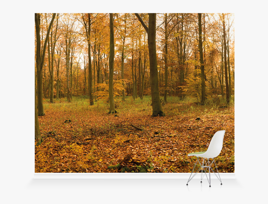 Autumn, HD Png Download, Free Download