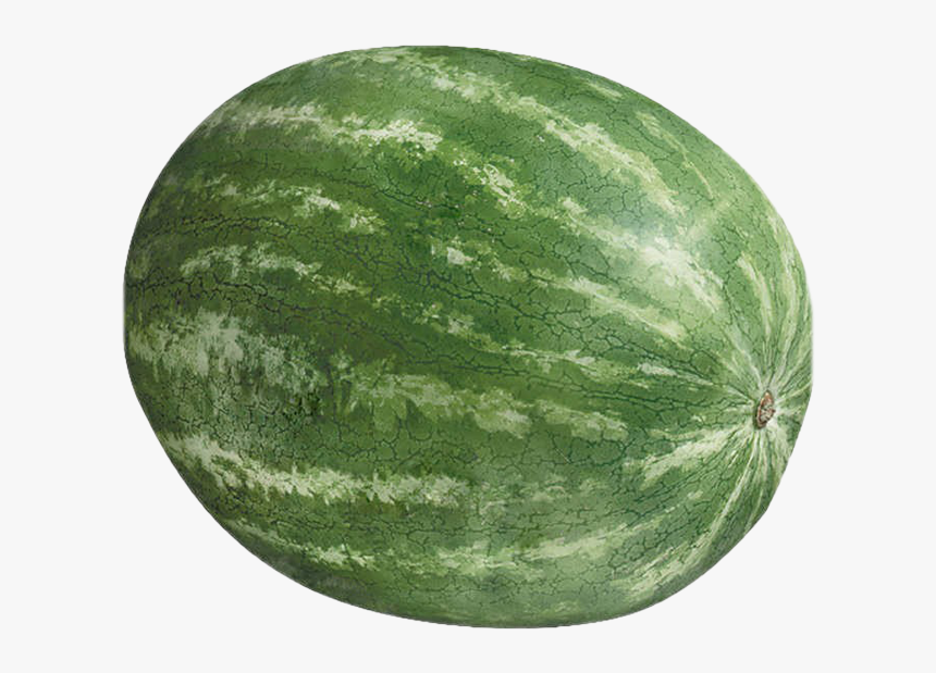 Watermelon Download Free Png - Costco Watermelon, Transparent Png, Free Download