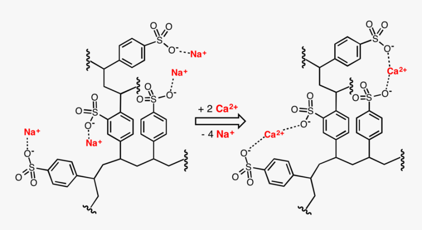 Calcium Polystyrene Sulfonate Mechanism Of Action, HD Png Download, Free Download