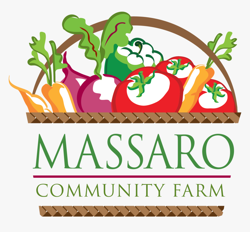 Vegetable Basket Logo By Floy Rodriguez - Massaro Farm, HD Png Download, Free Download