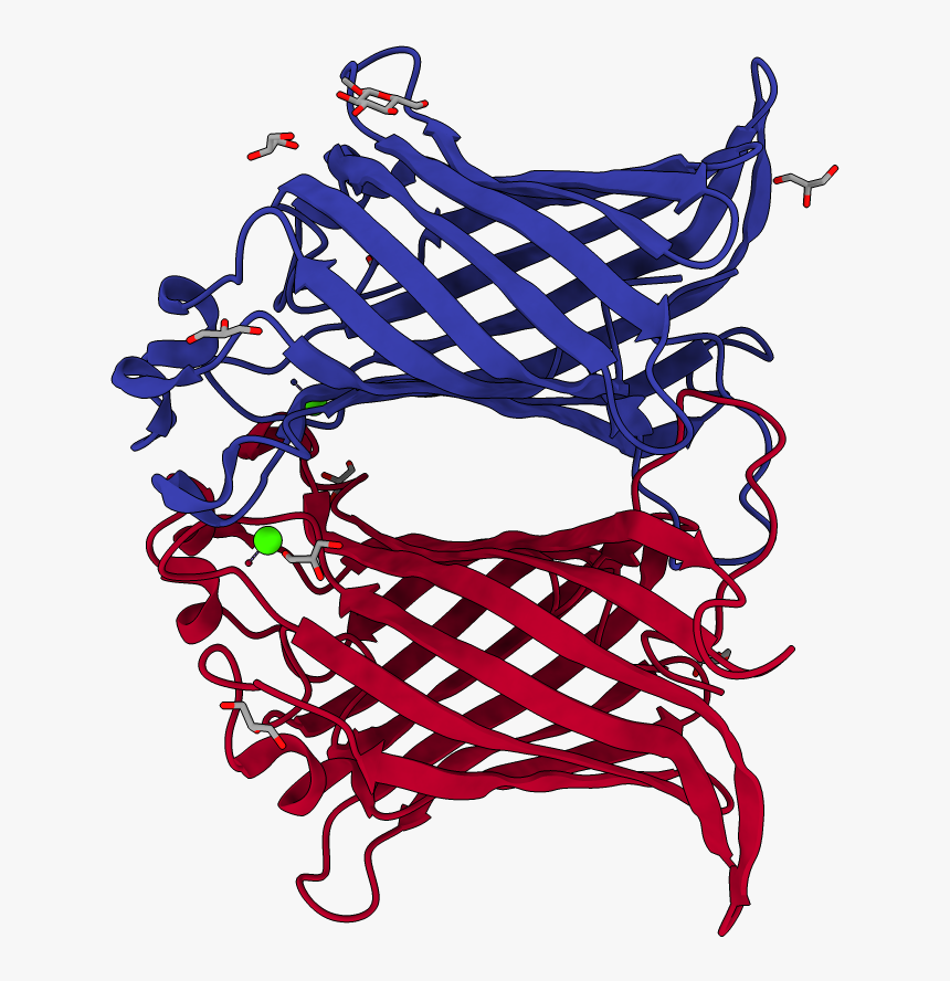 Illustration, HD Png Download, Free Download