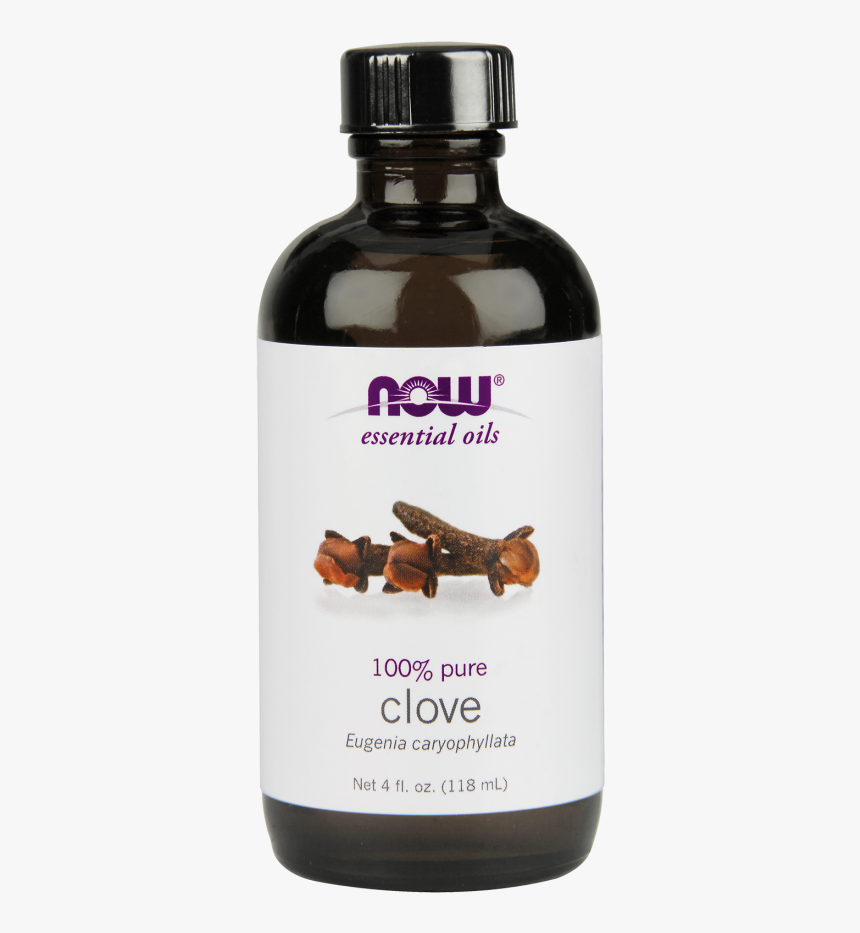 Clove Oil, HD Png Download, Free Download