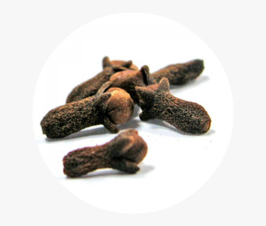 Clove Essential Oil - Transparent Clove Bud Png, Png Download, Free Download