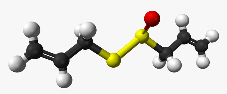 R Allicin 3d Balls - Molecule, HD Png Download, Free Download