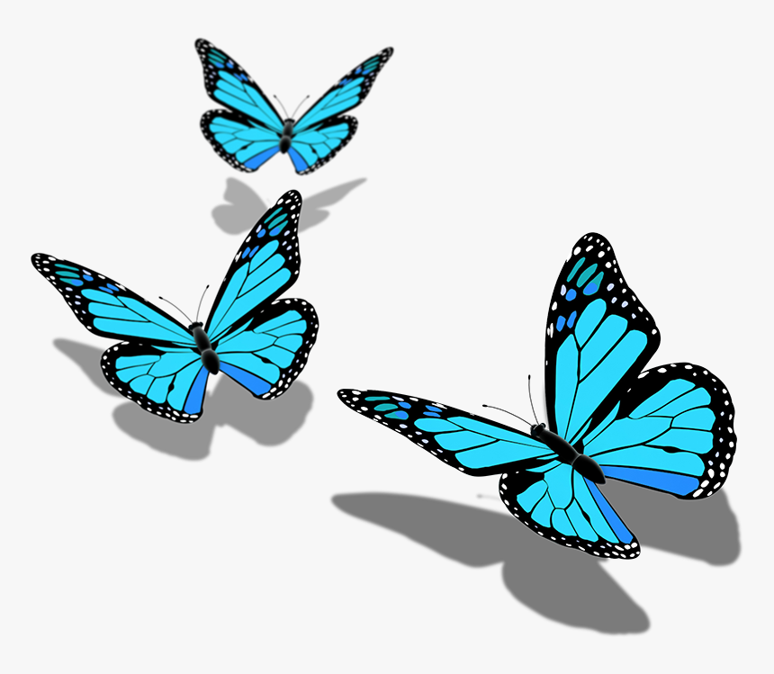 Butterfly Png Pic Hd , Png Download - Transparent Background Butterfly Png Hd, Png Download, Free Download