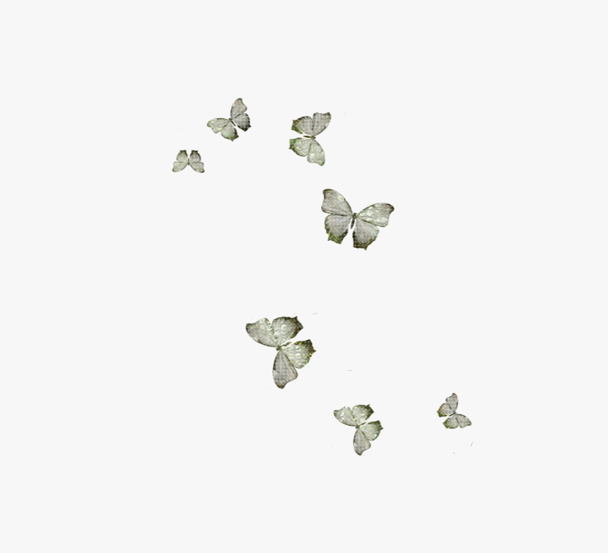 Little Butterflies Image Png, Transparent Png, Free Download