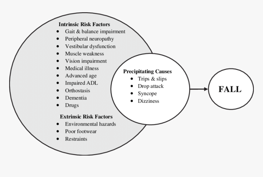 Extrinsic Causes Of Falls, HD Png Download, Free Download