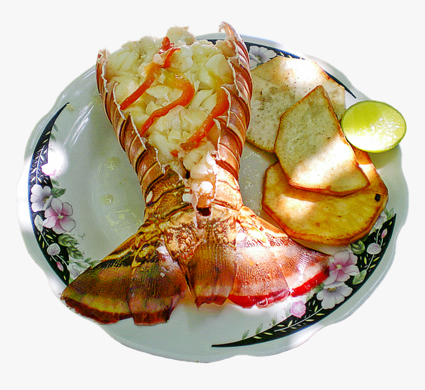 Lobster Tail - Does Lobster Taste Fishy, HD Png Download, Free Download