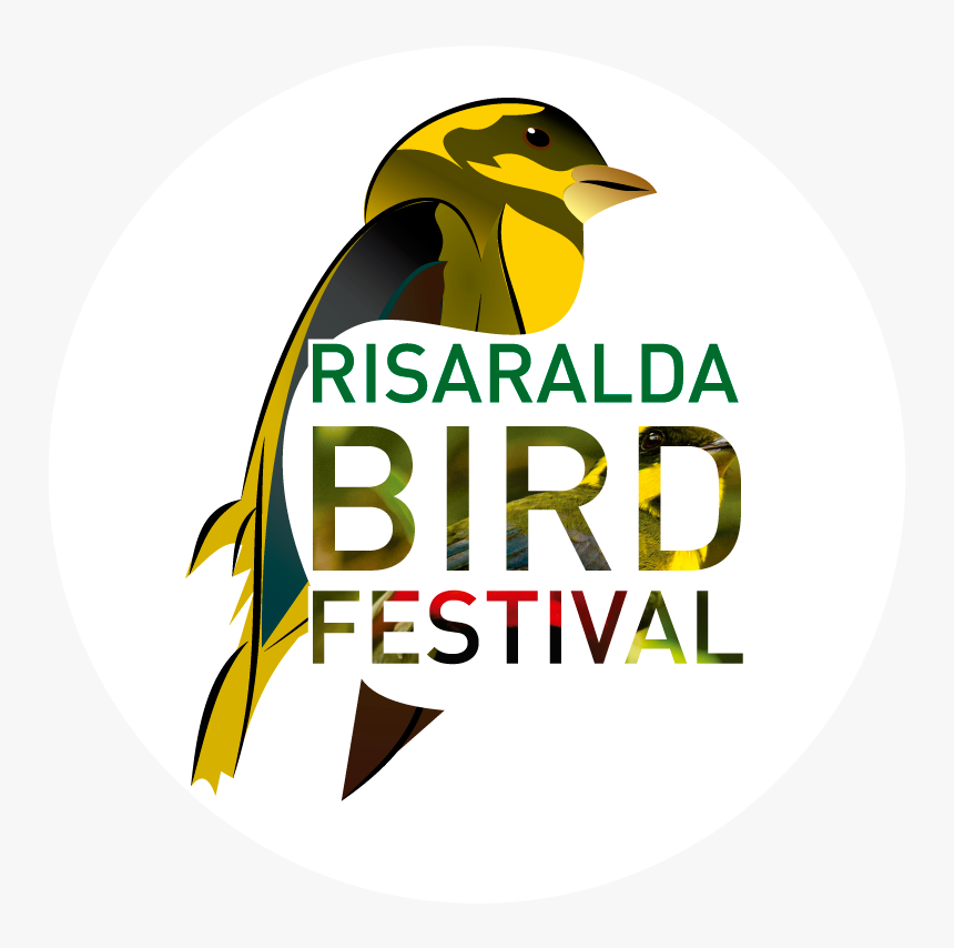 Risaralda Bird Festival - Risaralda Bird Festival 2018, HD Png Download, Free Download