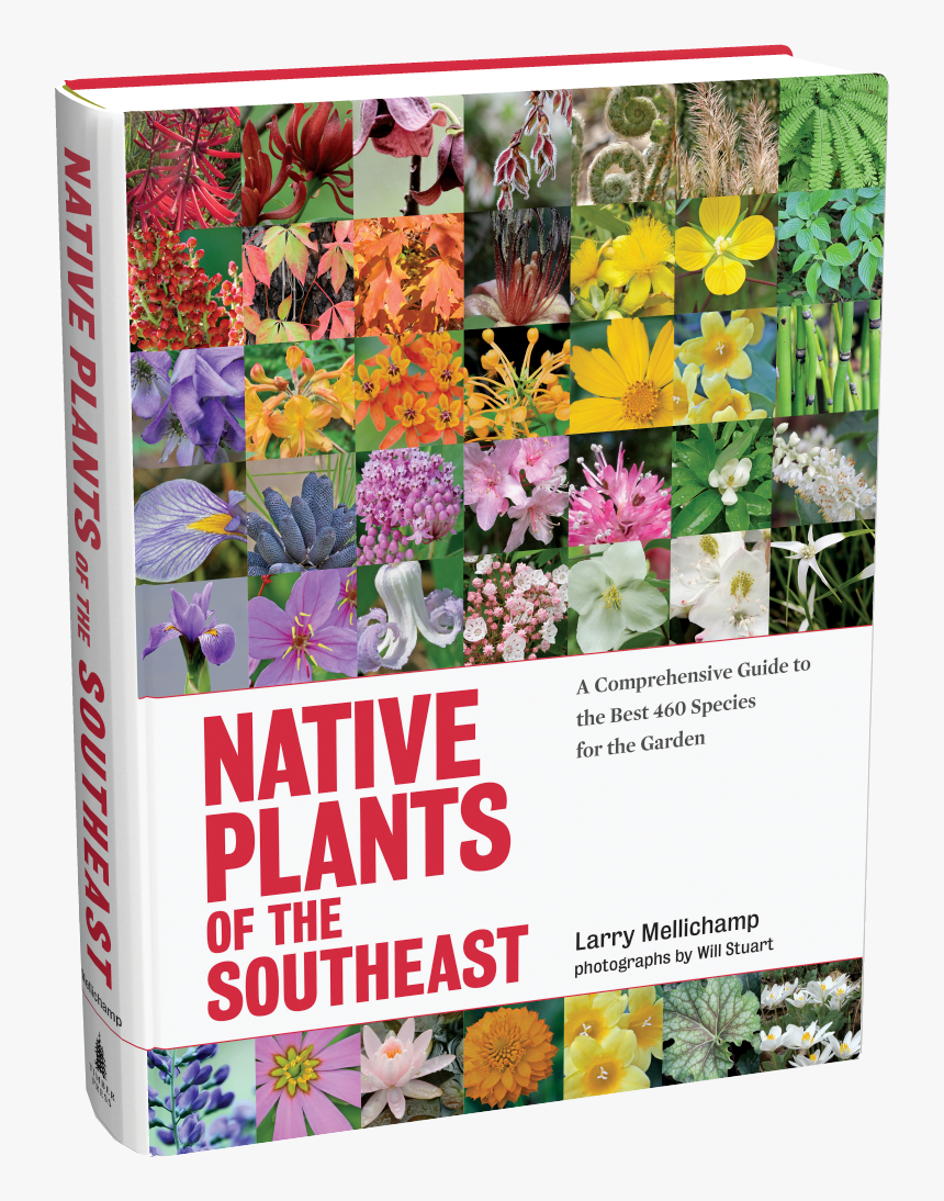Cover - Southeast Native American Plants, HD Png Download, Free Download