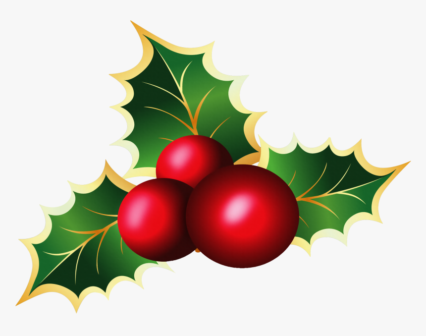 Transparent Christmas Mistletoe Png Picture - Transparent Background Holly Clipart, Png Download, Free Download