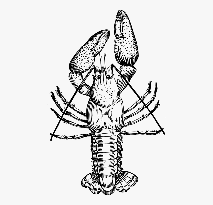 Picture Library Crawfish Clipart Crayfish - Crayfish Black And White, HD Png Download, Free Download